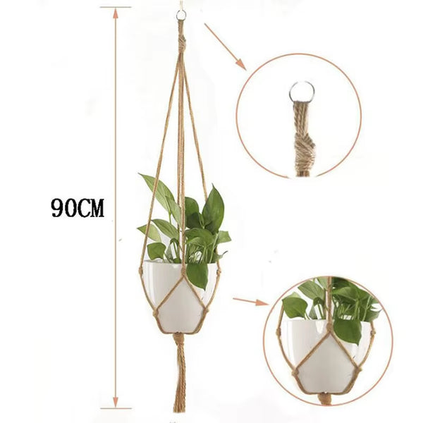 no-potted-plants